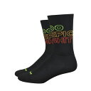 DeFeet (ディフィート) AI6 ソックス/Do Epic Shit(4)