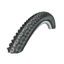 SCHWALBE (シュワルベ) ラピッドロブ 26インチ