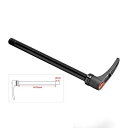 DT SWISS (ディーティースイス) HWQASM00S2955S RWS 12/142mm リア スキュワー