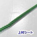 緑 ロープ エステルカラーロープ 直径5mm カット販売 緑色 ポリエステルロープ