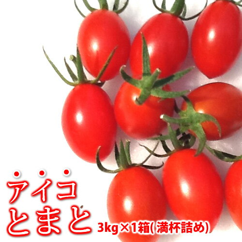 【送料無料】 アイコトマト　800kg 熊本産塩トマトミネラルトマト