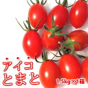 【送料無料】 アイコトマト1.5kg 熊本産塩トマトミネラルトマト