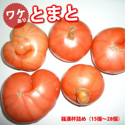 【送料無料】【訳あり】 トマト 箱満杯詰め1箱 熊本産 減農薬 ミネラルトマト　国産トマト　贈答品　贈答　贈り物　産地直送　お取り寄せ 箱入り　夏野菜　野菜 北海道は300円の送料必要です。