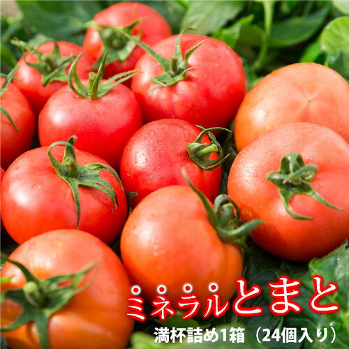 【送料無料】ミネラルトマト/箱満