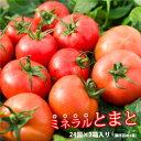 【送料無料】減農薬 