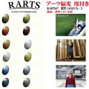 RARTS 167 アーツ 偏光レンズ 球面 度付き 伊藤光学 TSL 2枚1組 12色 標準カーブ 4カーブ 6カーブ 8カーブ