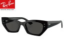 レイバン RayBan ZENA RB4430F 667781 52m...(4)