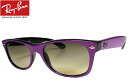 Co NEW WAYFARER VNEubN/OC RB2132 873/32 52mm rayban