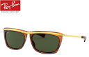 Co RayBan OLYMPIAN II RB2419 131231 56mm XgCvhnoi/G-15O[