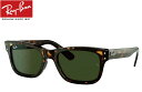 レイバン RayBan RB2283F 902/31 55mm ハバナ/ダークグリーン(4)