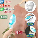 【先行予約販売】はさめる スチームアイロン ハンガーにかけた...