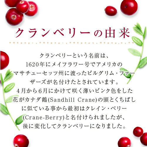 クランベリー アメ横 大津屋 業務用 ドライ ナッツ ドライフルーツ 製菓材料 cranberry くらんべりー 2