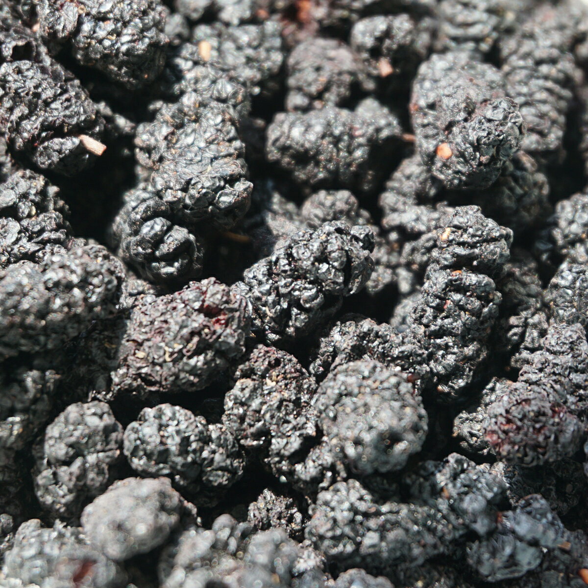 ブラック マルベリー 3kg ドライフルーツ 桑の実 桑実 mulberry