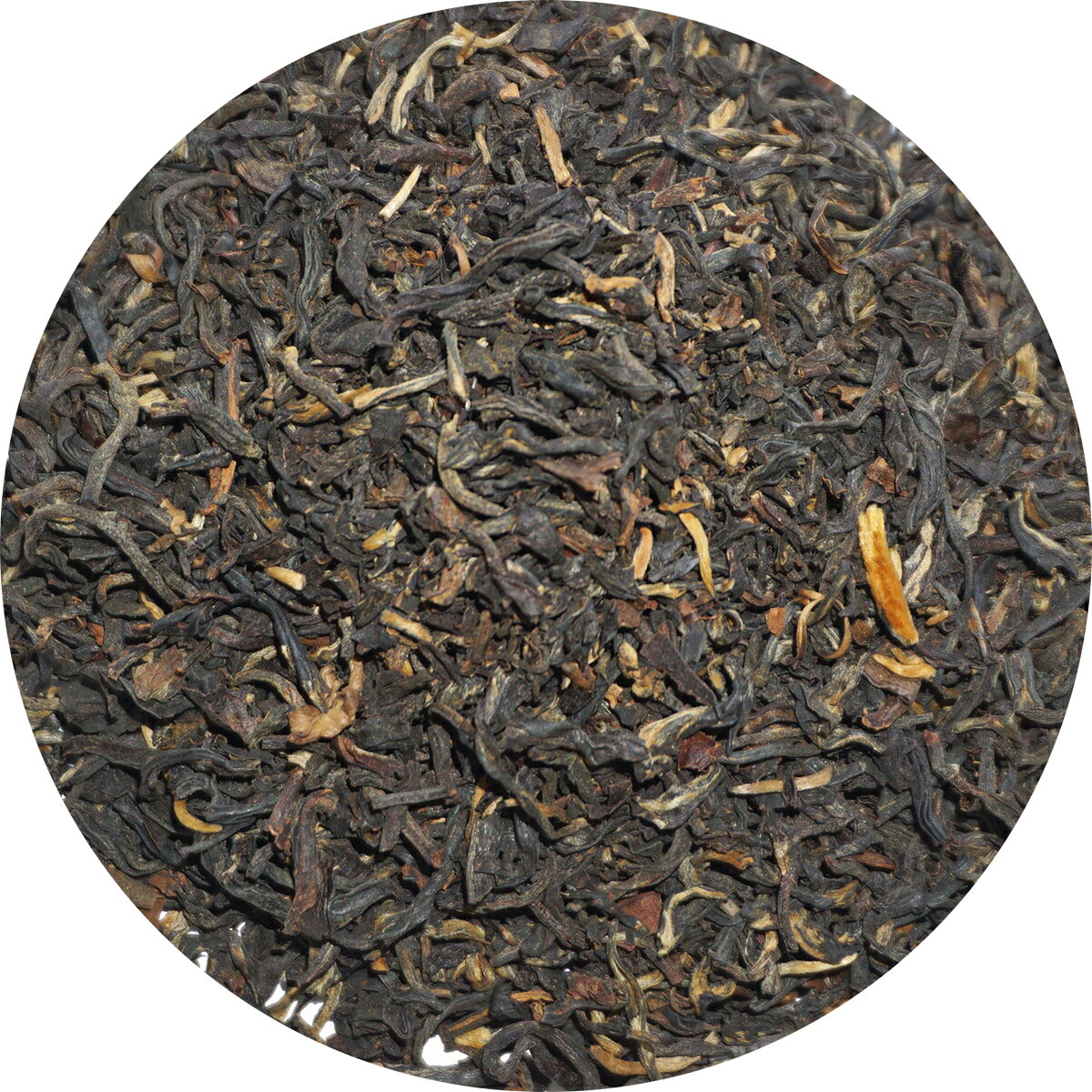 㤨Ȥѹȶ˹׹chineseblacktea㥢ᲣŲ