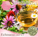 エキナセア 1kg アメ横 大津屋 業務用 ムラサキバレンギク 紫馬簾菊 echinacea えきなせあ 2