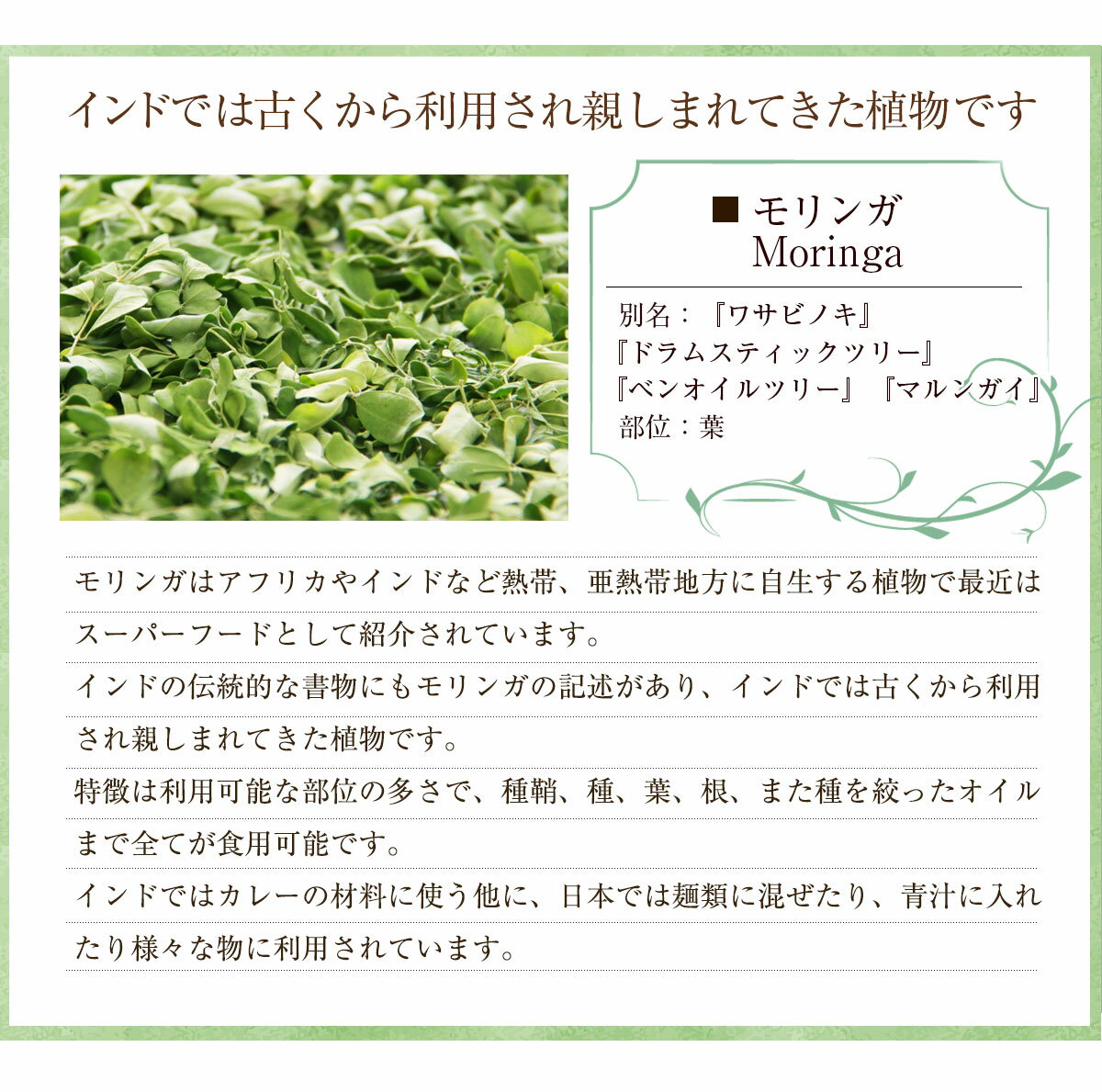 モリンガ 焙煎 ワサビノキ スーパーフード モリンガ オレイフェラ moringa 2