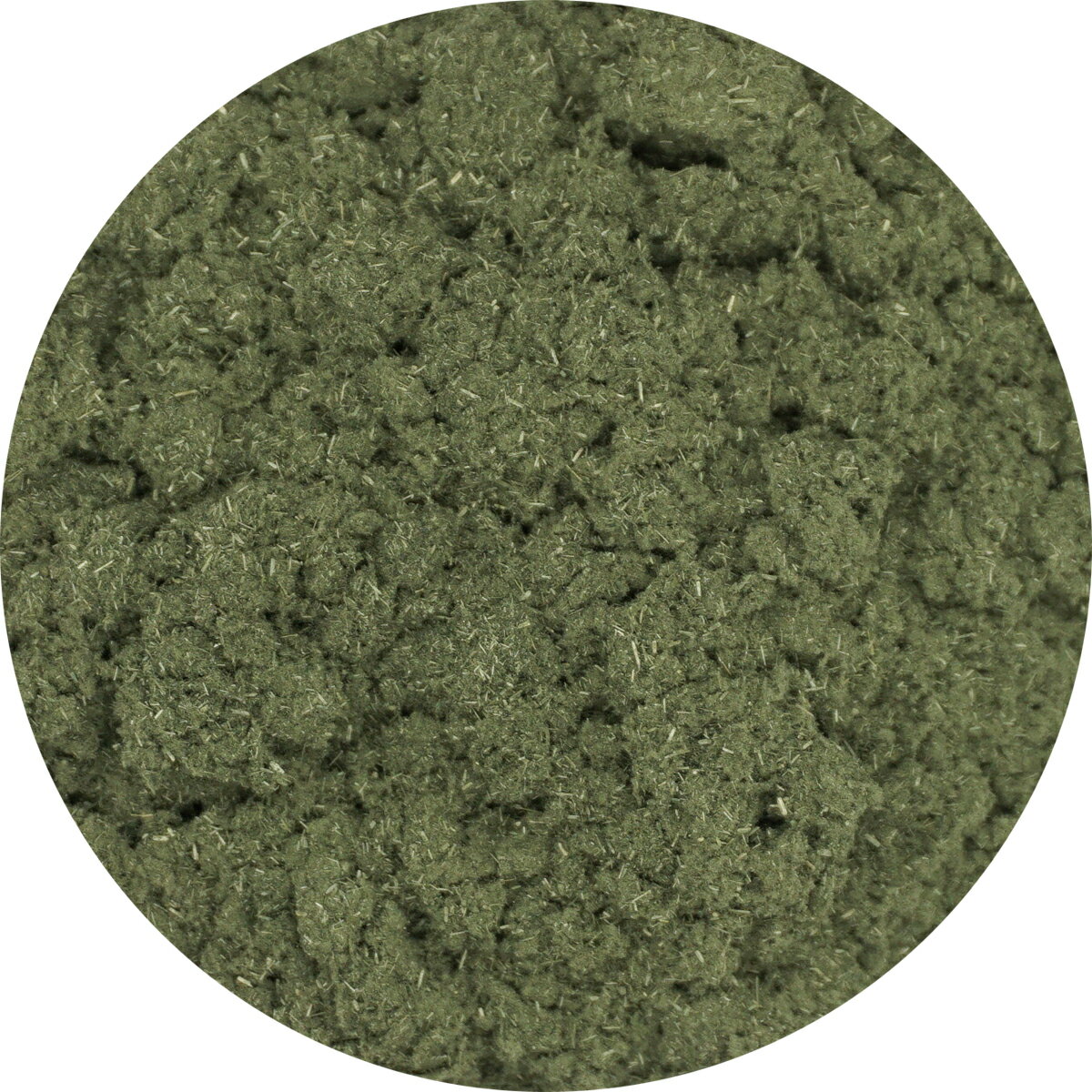 ⥮ѥ⤮˩mugwort