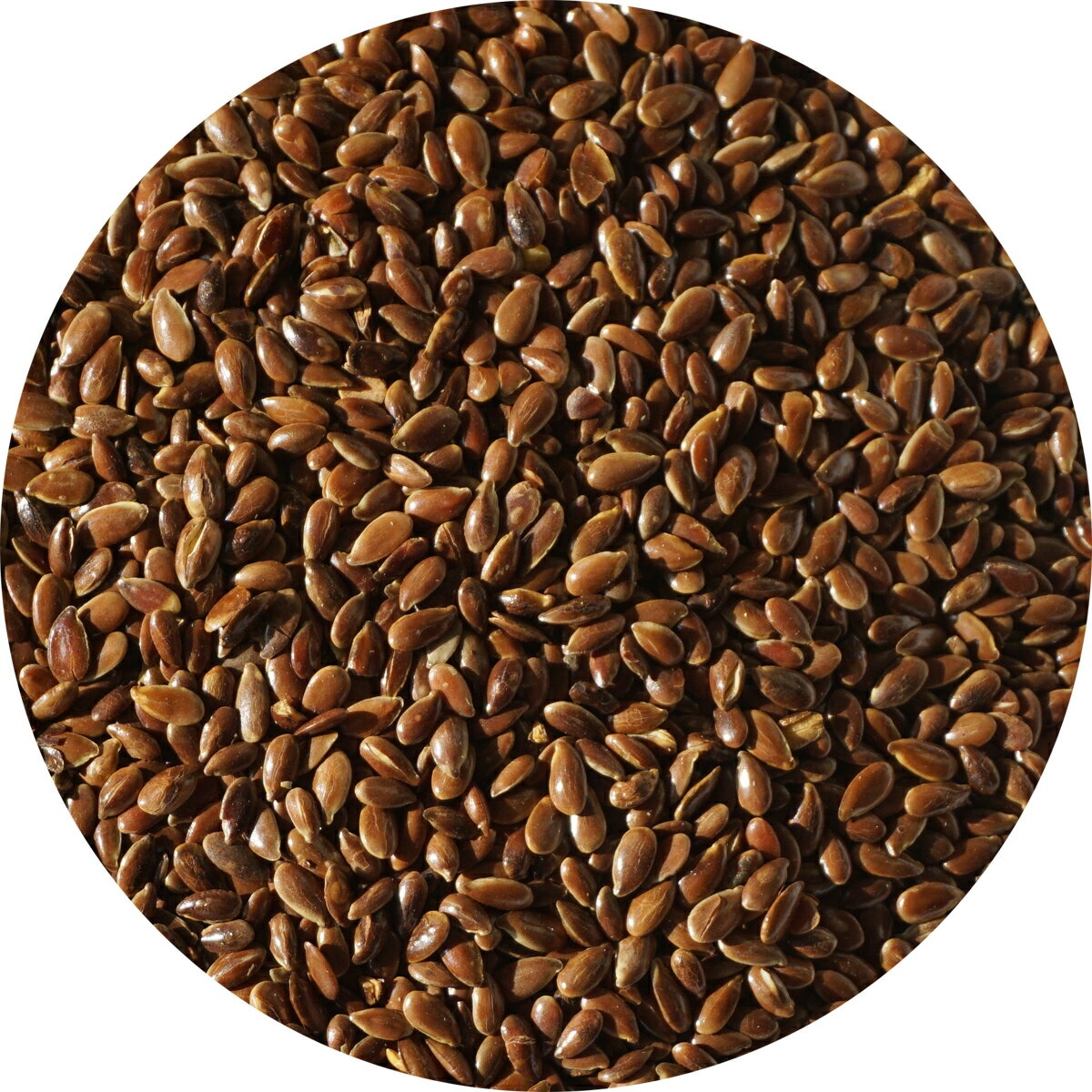 ᲣŲեåɰΥޥ˰linseedflaxseedեå