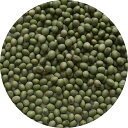 2024年度産 芝霧豆 青大豆 しばきり豆 green soybean 長野県産 アメ横 大津屋