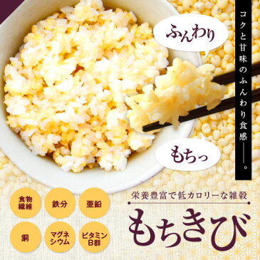 【送料無料】もちきび【1kg】【あす楽】モチ キビ 黍 稷 きび 五穀 黄実 proso millet 吉備団子 稷きび kibi 雑穀 雑穀米