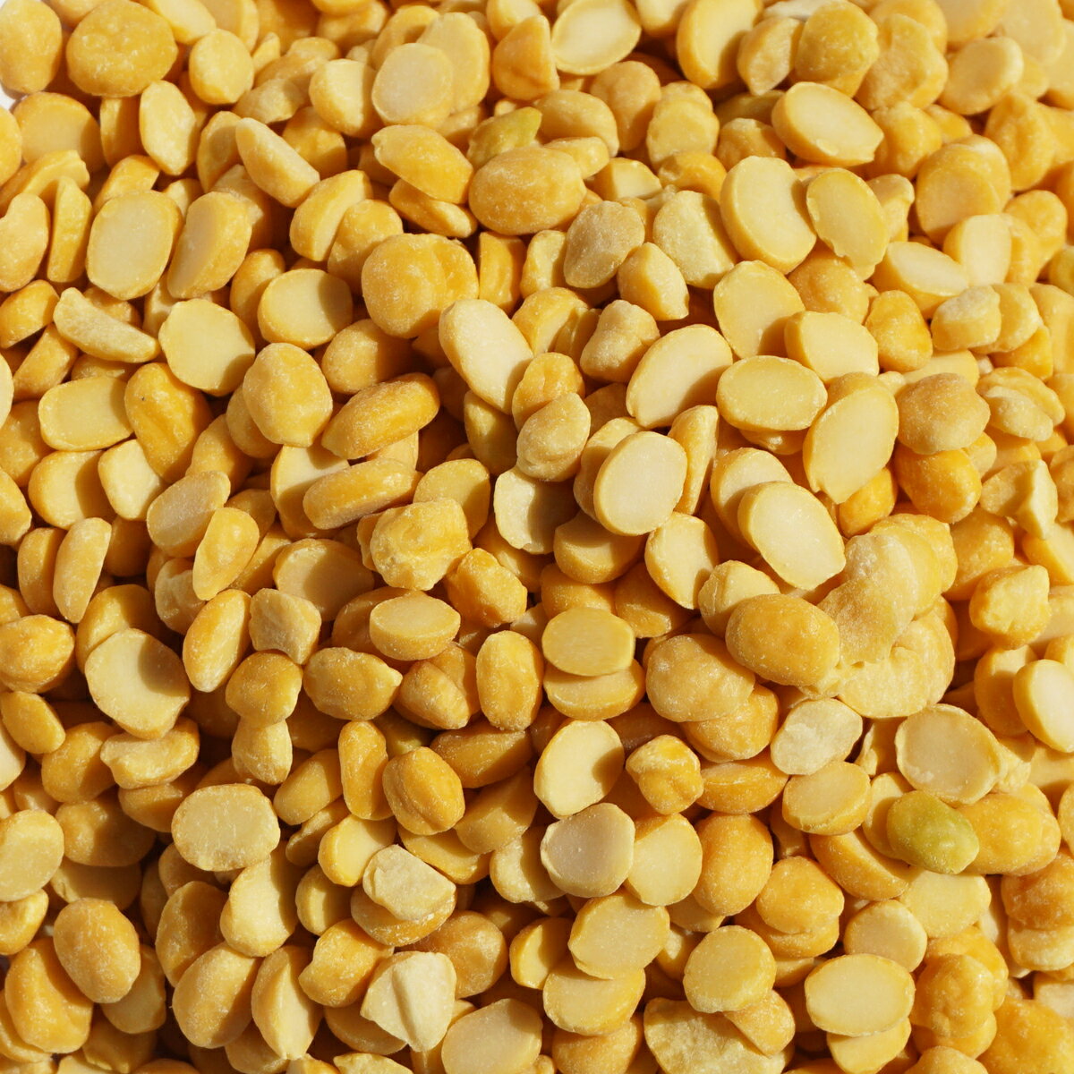 チャナダール 1kg chana dal チャナダル 皮むき ひよこ豆 アメ横 大津屋 ヒヨコマメ ガルバンソ エジプト豆 chickpea ガルバンゾー チックピー