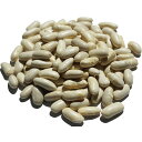 zCg r[Y 500g white pea bean CQ}  ܂ zCgr[Y zCg  white pea bean A É