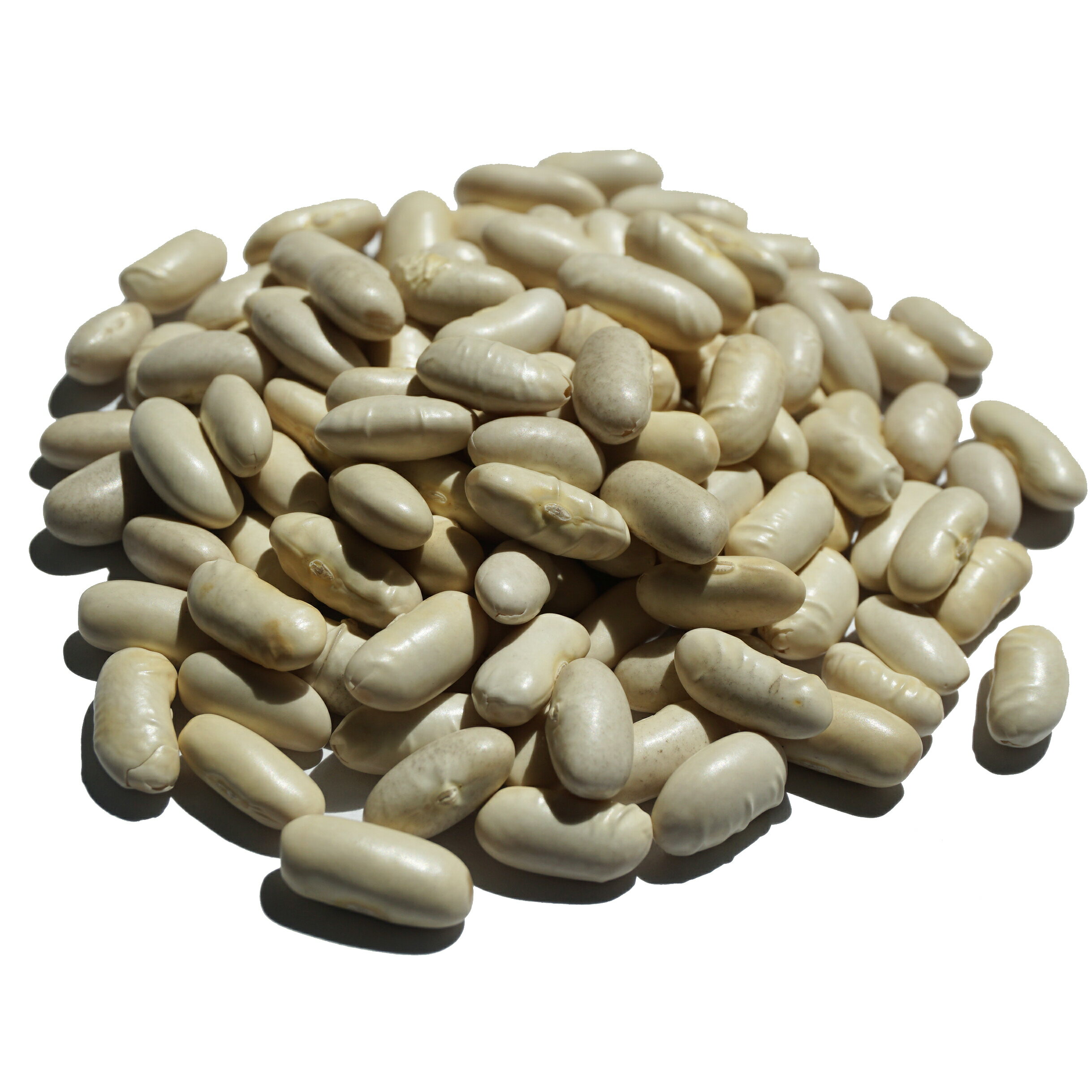 ホワイト ビーンズ 1kg white pea bean イ