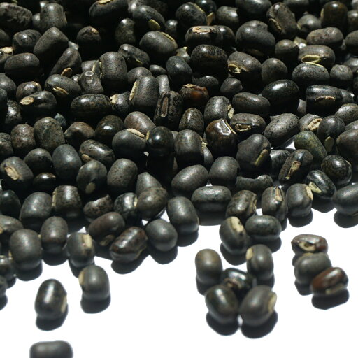 ウタド ホール 500g 黒マッペ ウラド ダル ダール ウラッド ケツルアズキ 毛蔓小豆 黒緑豆 ブラックマッペ black gram ウラド豆 urad dal ブラックウラド マッペ ウタド ホール 500g 黒マッペ ウラド ダル ダール ウラッド ケツルアズキ 毛蔓小豆 黒緑豆 ブラックマッペ black gram ウラド豆 urad dal ブラックウラド マッペ