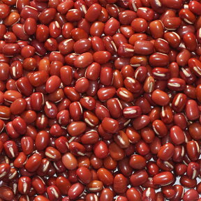 2023年度産 北海道産 とよみ 大納言 小豆 1kg アメ横 大津屋 ダイナゴン だいなごん azuki bean アズキ 荅 あずき