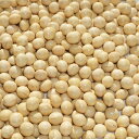 2023年産 北海道産 大豆 1kg 3分玉 9mm玉 アメ横 大津屋 soybean ダイズ だいず 北海道 鶴娘