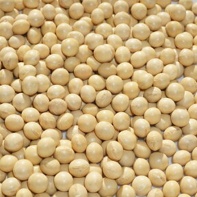 2023年度産 北海道産 大豆 3分玉 500g 9mm玉 アメ横 大津屋 soybean ダイズ だいず 北海道 鶴娘