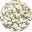 2024年度産 北海道産 白花豆 1kg いんげん豆 アメ横 大津屋 インゲンマメ runner bean 隠元 インゲン 白花