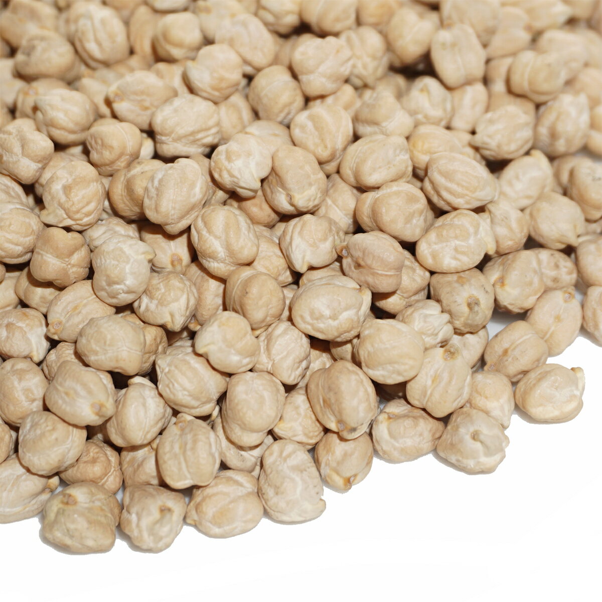 Ҥ褳Ʀ 1kg Უ Ų  ҥ襳ޥ Х ץƦ chickpea ҥ襳Ʀ Х󥾡 åԡ