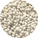 2024年度産 北海道産 手忙豆 アメ横 大津屋 毛亡 手亡 てぼ テボ インゲンマメ runner bean 隠元 インゲン 手忙 豆