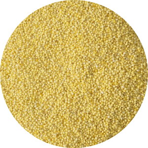 もちあわ 1kg アワ 粟 あわ 糯アワ foxtail millet bengal grass 穀物 雑穀米