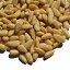 μ 500g Უ Ų  ̳ ɥ饤 ʥå ɥ饤ե롼 ۺ pine nut pinoli  ҿ   ޤĤΤ ޥĥΥ