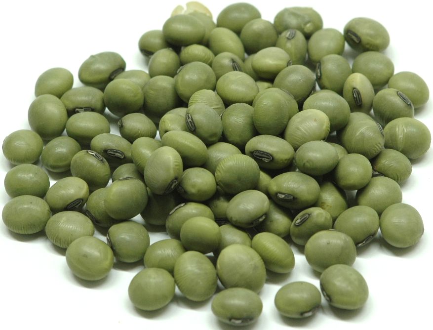 2023ǯٻ ̳ ҤƦ Ʀ 1kg Ʀ ҤƦ Უ Ų ߥ䥮 Ʀ Хޥ soybean  ...