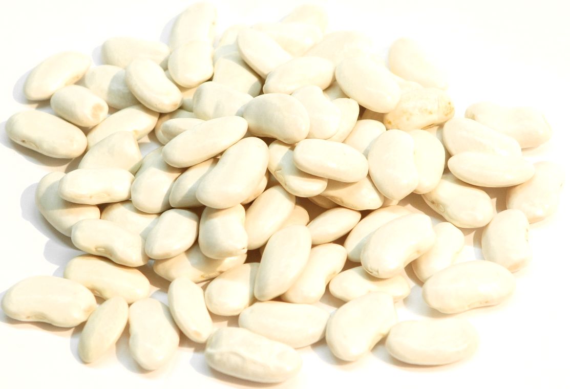 2023ǯٻ ̳ƻ ʡƦ 1kg 󤲤Ʀ ʡ Უ Ų դޤ եޥ 󥲥ޥ runner bean...