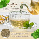 ゴツコーラ 500g ゴツコラ茶 ゴーツコラ茶 ツボクサ茶 gotu kola ゴーツコラ ブラフミ 2