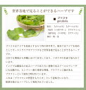 ゴツコーラ 500g ゴツコラ茶 ゴーツコラ茶 ツボクサ茶 gotu kola ゴーツコラ ブラフミ 3