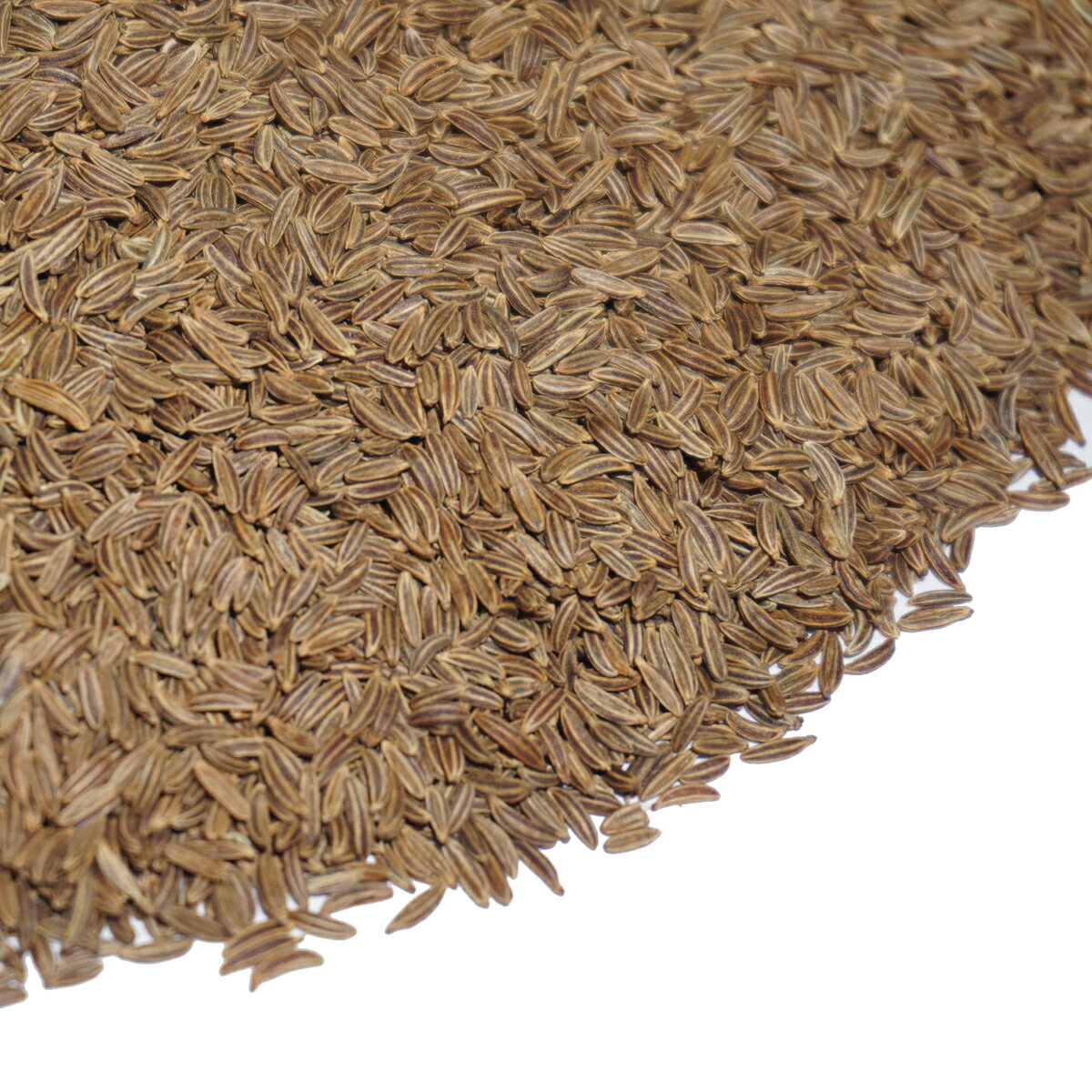 キャラウェイ シード 100g 原形 アメ横 大津屋 業務用 ハーブ ティー ポプリ 種 ホール caraway ヒメウイキョウ 姫茴香 きゃらうぇい キャラウエイ