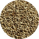 ホワイトペッパーパウダー 1kg / 1000gWhite Pepper Powder 白胡椒 スパイス ハーブ 香辛料 調味料