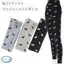 【送料無料】レディース レギンス コットンニット かわいい ねこ ドット 猫柄 ネコ M〜L 日本製 綿 中厚 くるぶし丈 透けない 可愛い 抗菌 防臭 吸水 ...