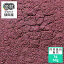 Samacryl Brilliant Pink FG 200%【蛍光ピンク】