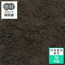 Direct Red BWS【赤】