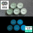 蓄光インク 繊維用 10g~ Blue発光ベース 0295【ウグイス着色・繊維プリント用蓄光インク】 ブルー 夜光塗料 繊維用シルクスクリーン印刷インク 業務用 家庭用 そのまま使える DIY シルク ポリエステル シルクスクリーン ホビー 光る ホビー クラフト安全