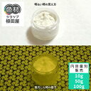 蓄光インク 繊維用 10g~ B_Yellow 101【イエロー発光・繊維プリント用蓄光インク】 無着色 夜光塗料 繊維用シルクスクリーン印刷インク 業務用 家庭用 そのまま使える DIY シルク ポリエステル シルクスクリーン ホビー 光る ホビー クラフト安全