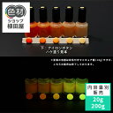 【スーパーSALE 開催】蓄光塗料 20g~ Green発光ベース 0030【オレンジ着色・ 蓄光塗料(夜光塗料)】 グリーン 沈殿しにくい 夜光 発光 業務用 家庭用 DIY スライム おもちゃ アクセサリー ハンドメイド 光る ホビー クラフト安全 アクリル ウレタン ラッカー インク
