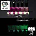 【スーパーSALE 開催】蓄光塗料 20g~ Green発光ベース 0080【パープル着色・ 蓄光塗料(夜光塗料)】 グリーン 沈殿しにくい 夜光 発光 業務用 家庭用 DIY スライム おもちゃ アクセサリー ハンドメイド 光る ホビー クラフト安全 アクリル ウレタン ラッカー インク