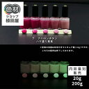 【スーパーSALE 開催】蓄光塗料 20g~ Green発光ベース 0090【パープル/ピンク着色・ 蓄光塗料(夜光塗料)】 グリーン 沈殿しにくい 夜光 発光 業務用 家庭用 DIY スライム おもちゃ アクセサリー ハンドメイド 光る ホビー クラフト安全 アクリル ウレタン ラッカー インク